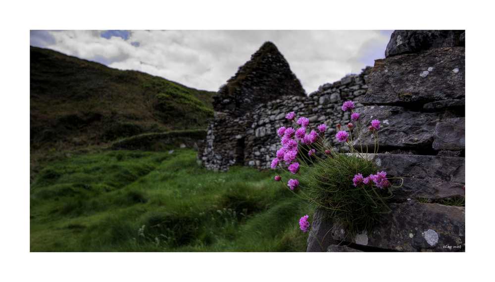 postcards from ireland