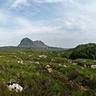 Postkarte aus den Highlands - Suilven -