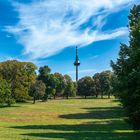 Postkarte aus Mannheim