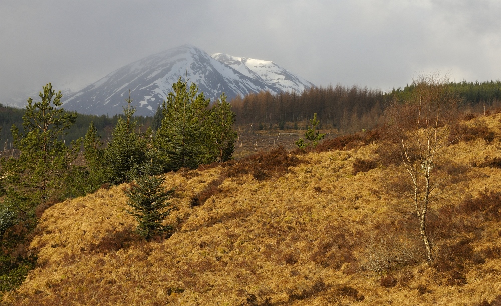 Postkarte aus Schottland