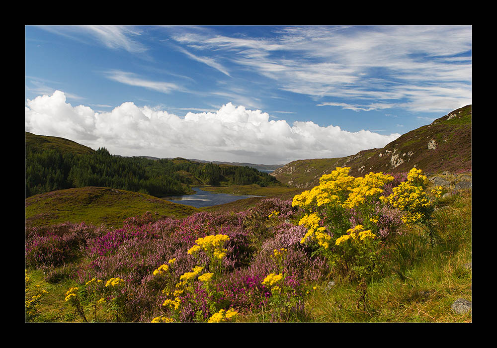 Postkarte aus Schottland