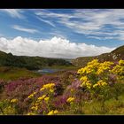 Postkarte aus Schottland