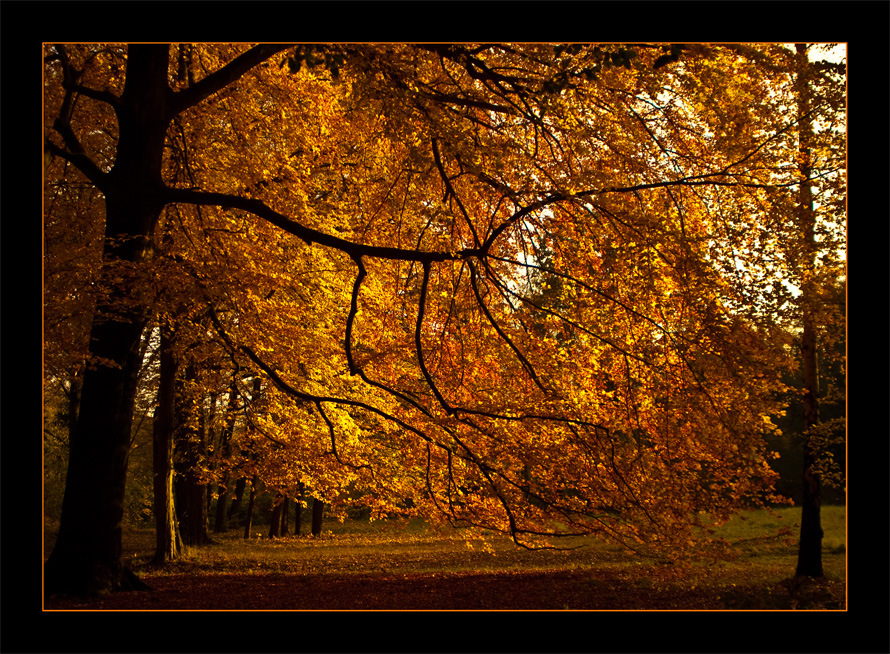 Postkarte mit Herbst