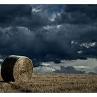 Postkarte mit Unwetterankündigung