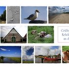 POSTKARTE -neu-