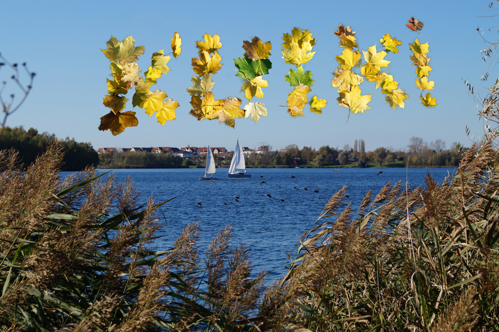 Postkarte vom Kulkwitzer See