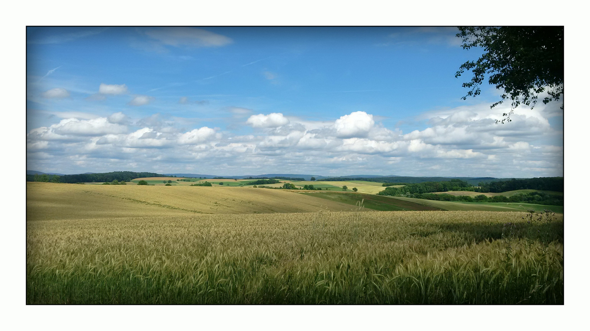 Postkarte von Zuhause