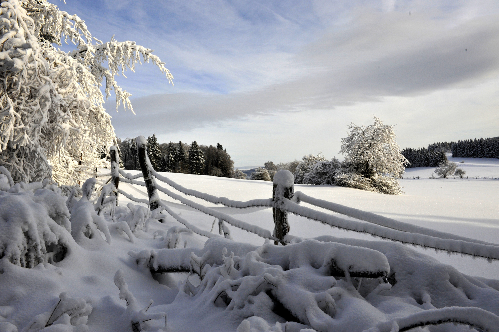 postkarten-harz