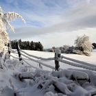 postkarten-harz