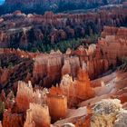 Postkarten-Idylle im Bryce Canyon