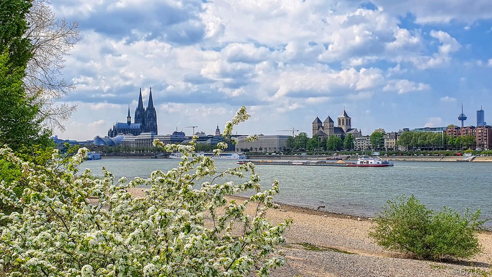 Postkartengruß aus Köln