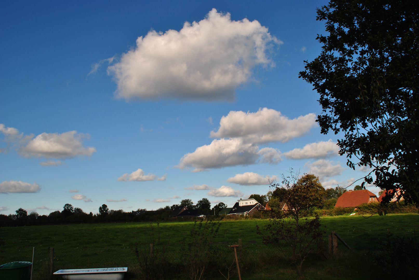 Postkartenhimmel über meinem Garten