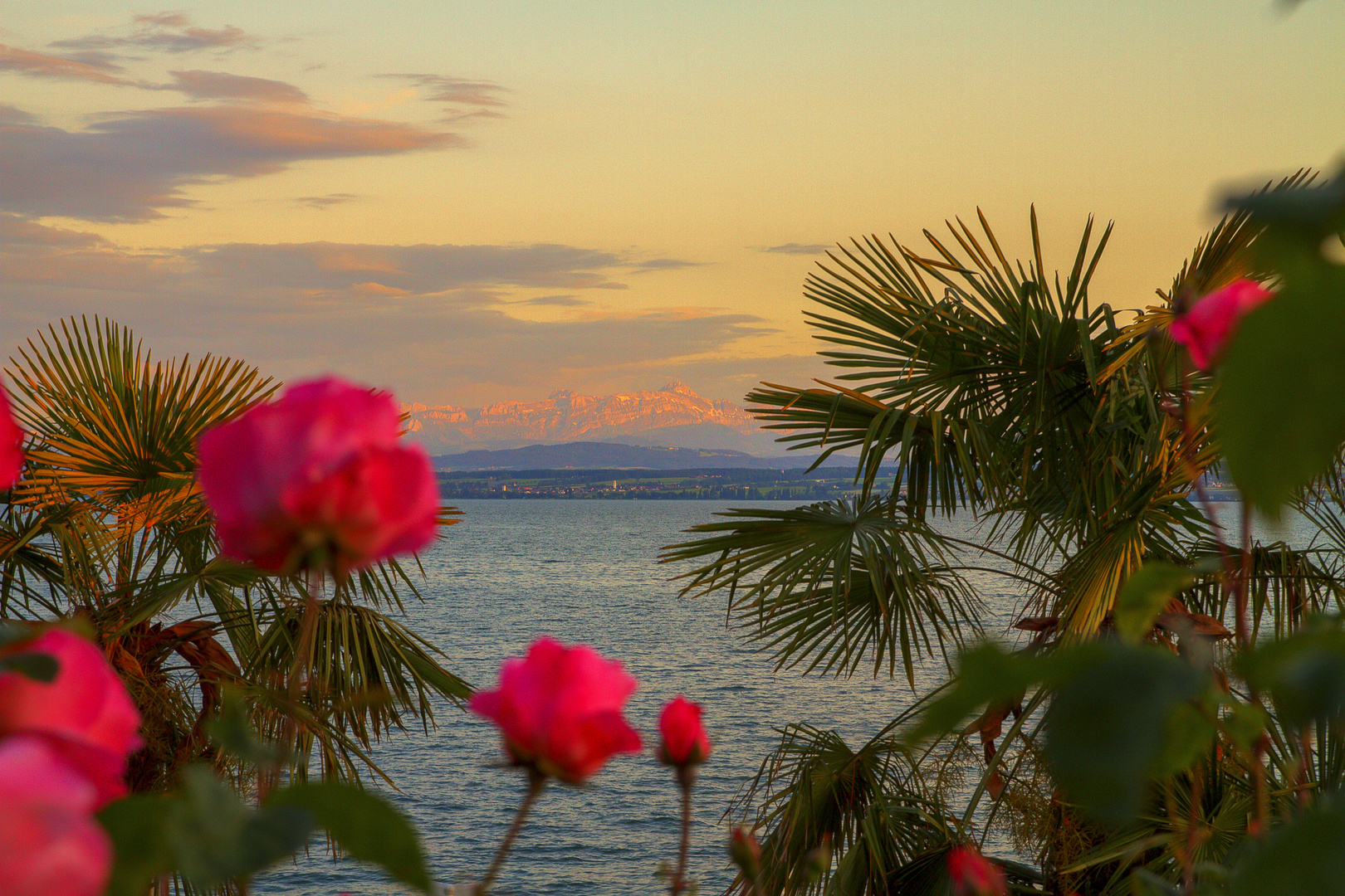 Postkartenidylle am Bodensee