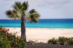 Postkartenidylle auf Fuerteventura.