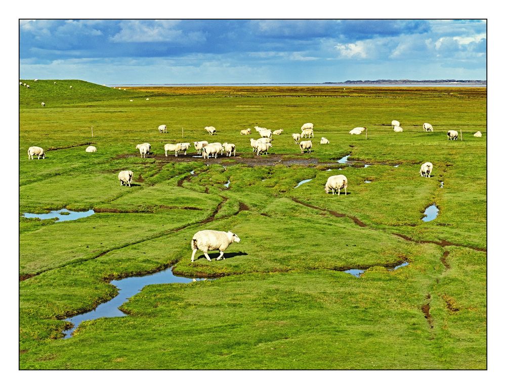 Postkartenidylle auf Mandø