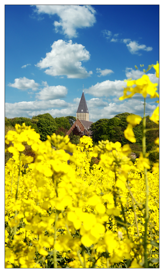 Postkartenidylle aus Birten (Genau das ist es, was die Masse will *grins')