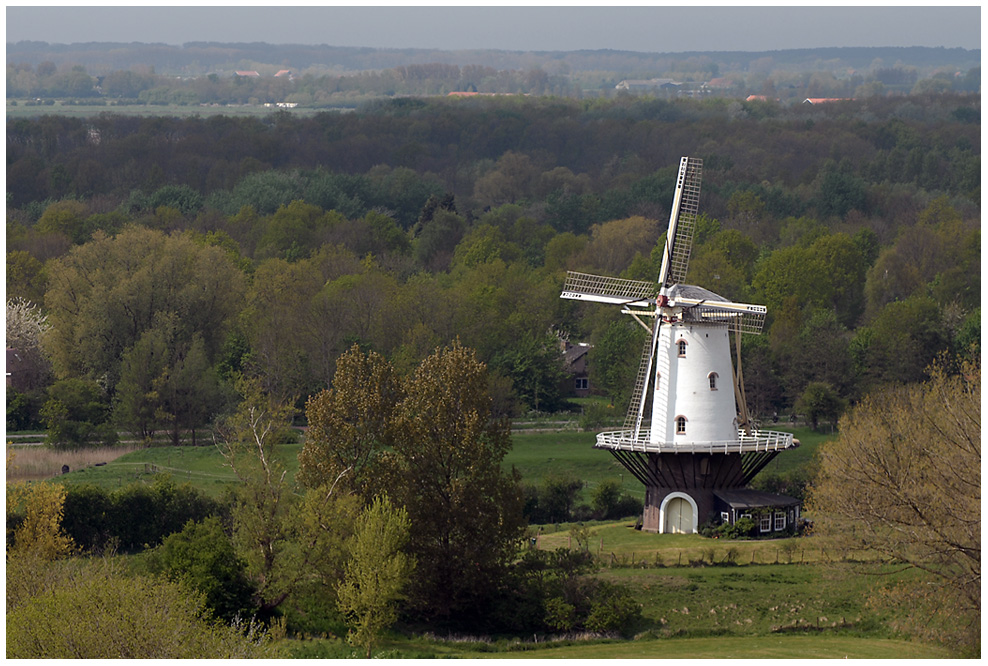 Postkartenidylle: Frühling in Holland