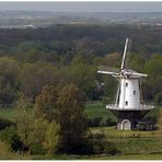 Postkartenidylle: Frühling in Holland