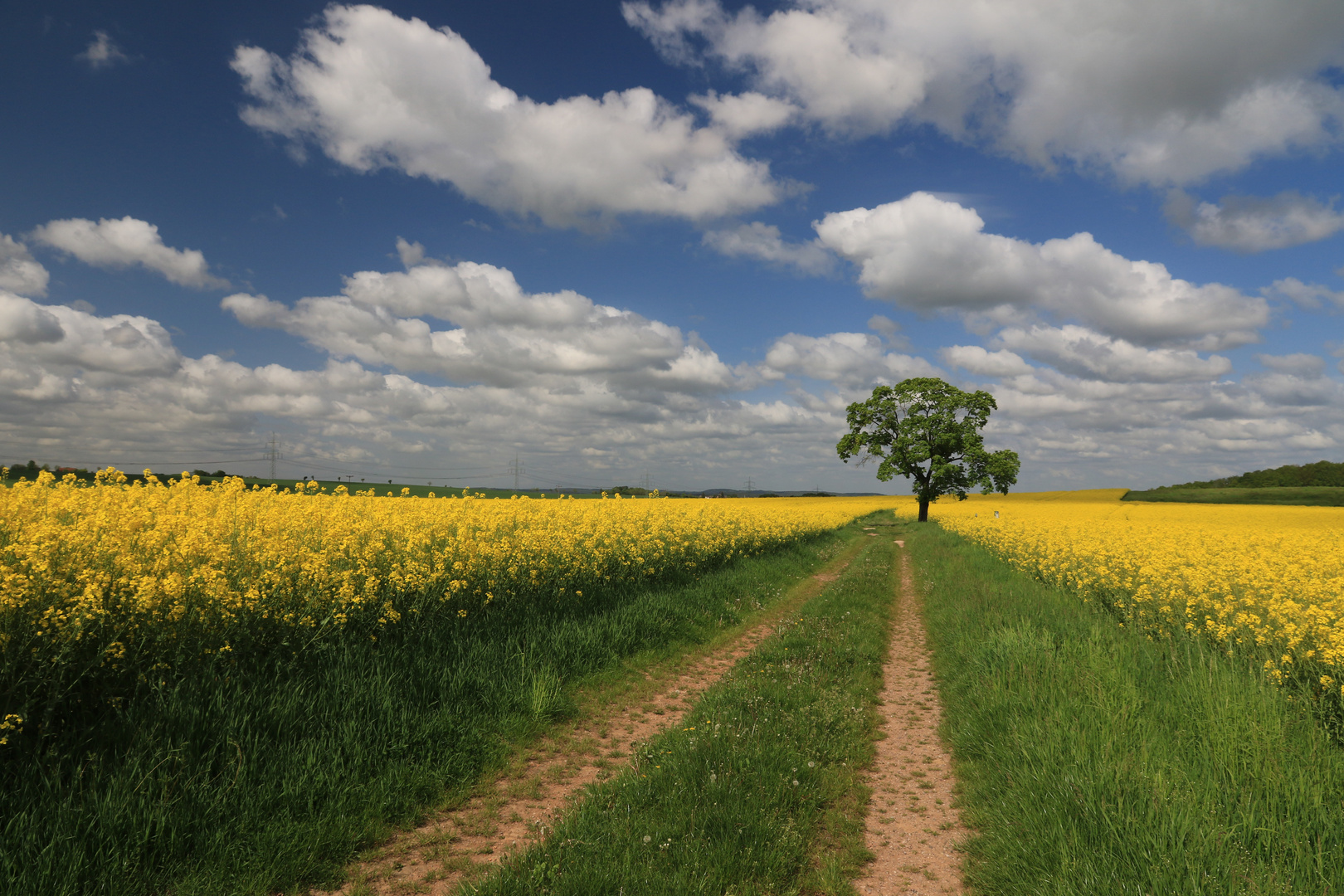 Postkartenwetter