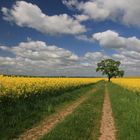 Postkartenwetter