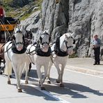 Postkutsche auf dem Gotthardpass