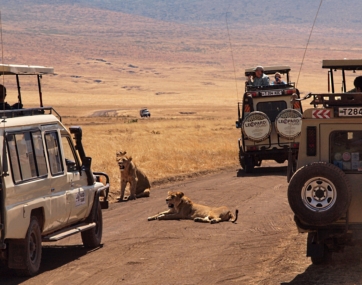 posto di blocco ,african police roadblock