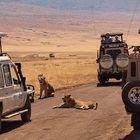 posto di blocco ,african police roadblock