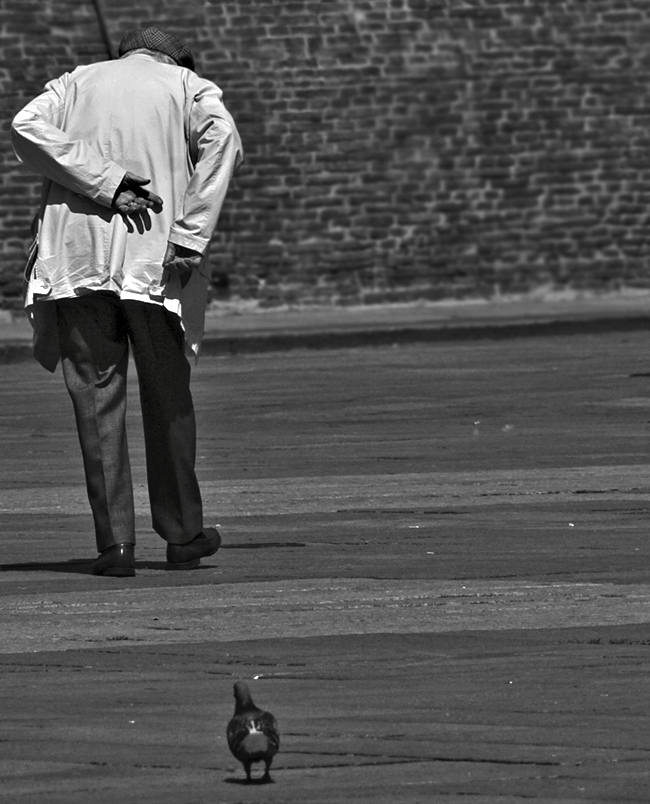 POSTURE ovvero L'UOMO E IL PICCIONE / POSING:  A MAN & A PIGEON