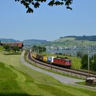 Postzug am Zugersee