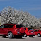 Pot Huron - Parkplatz