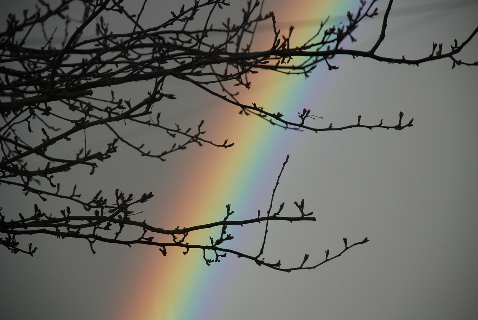 Pot of gold