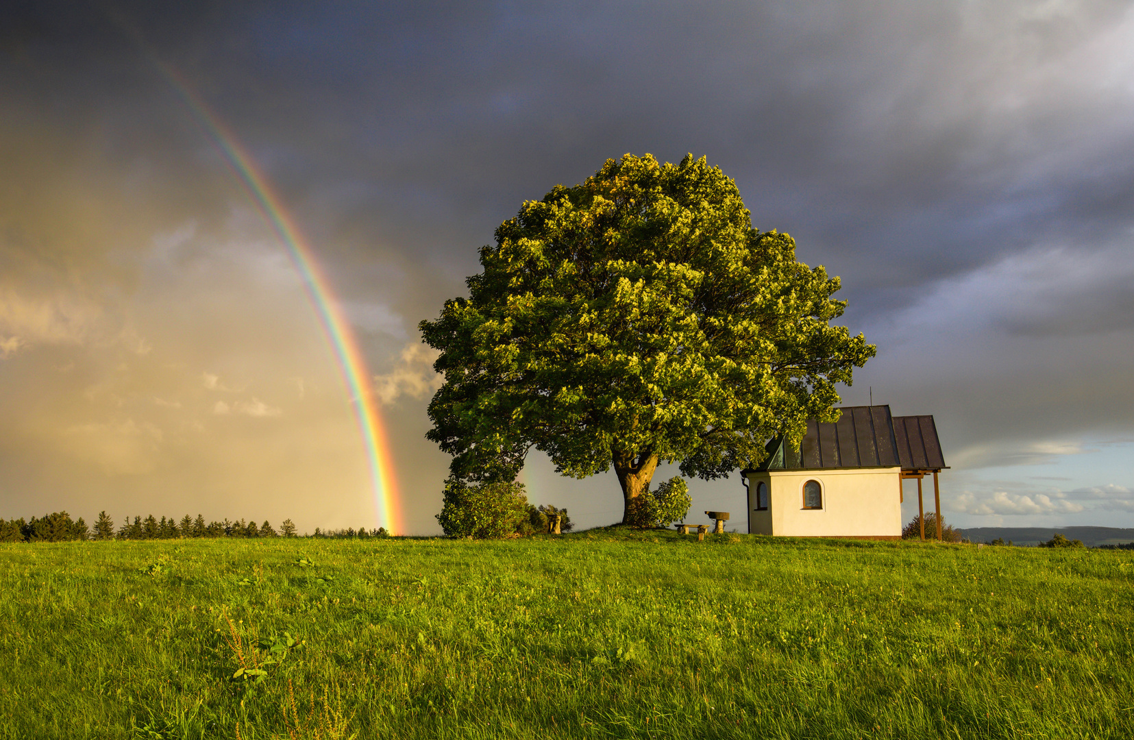 pot of gold 