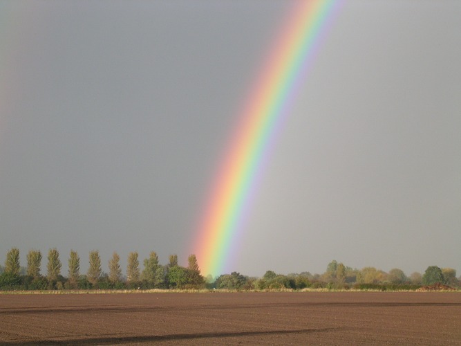 pot of gold...