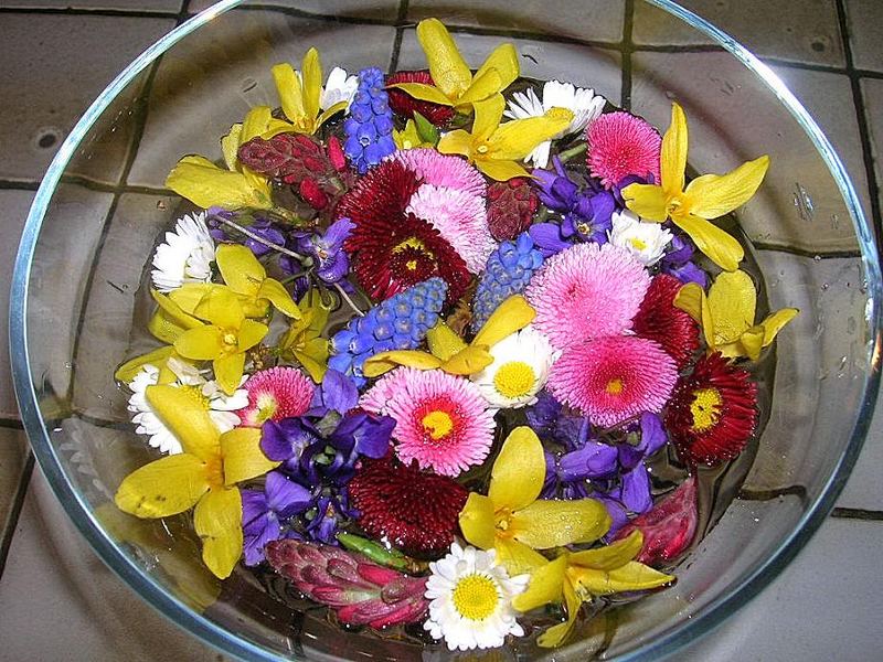 Pot-pourri avec les premières fleurs du jardin