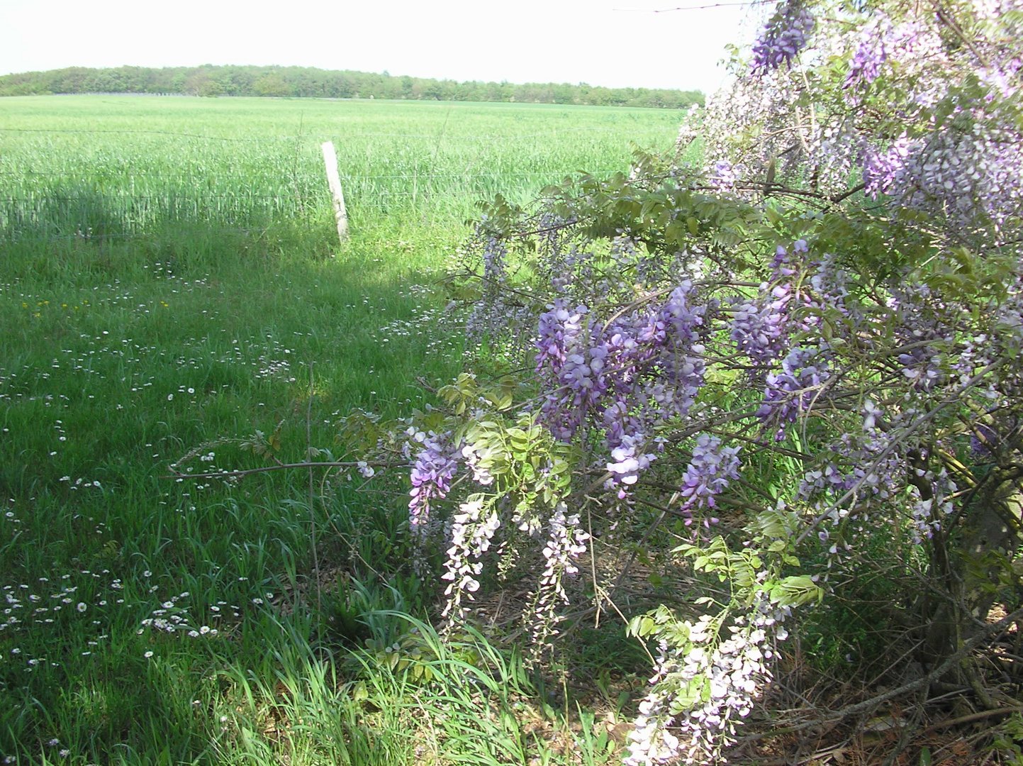 Pot-pourri de la nature!!!!!!!!