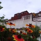 Potala