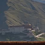 Potala vom Kloster Sera aus
