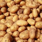 Potatoes