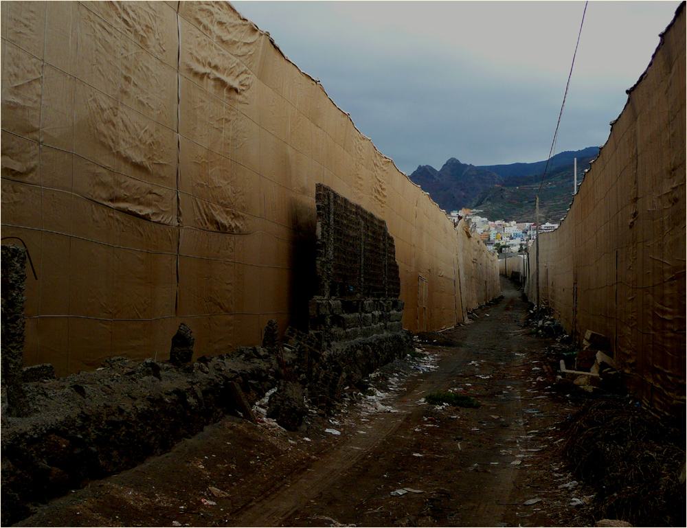 Potemkin und Macke auf Teneriffa