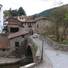 Potes