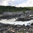 Potomac - Fluss nahe Washington