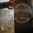 Potosina