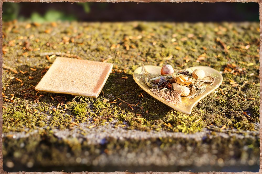 Potpourri des Lebens