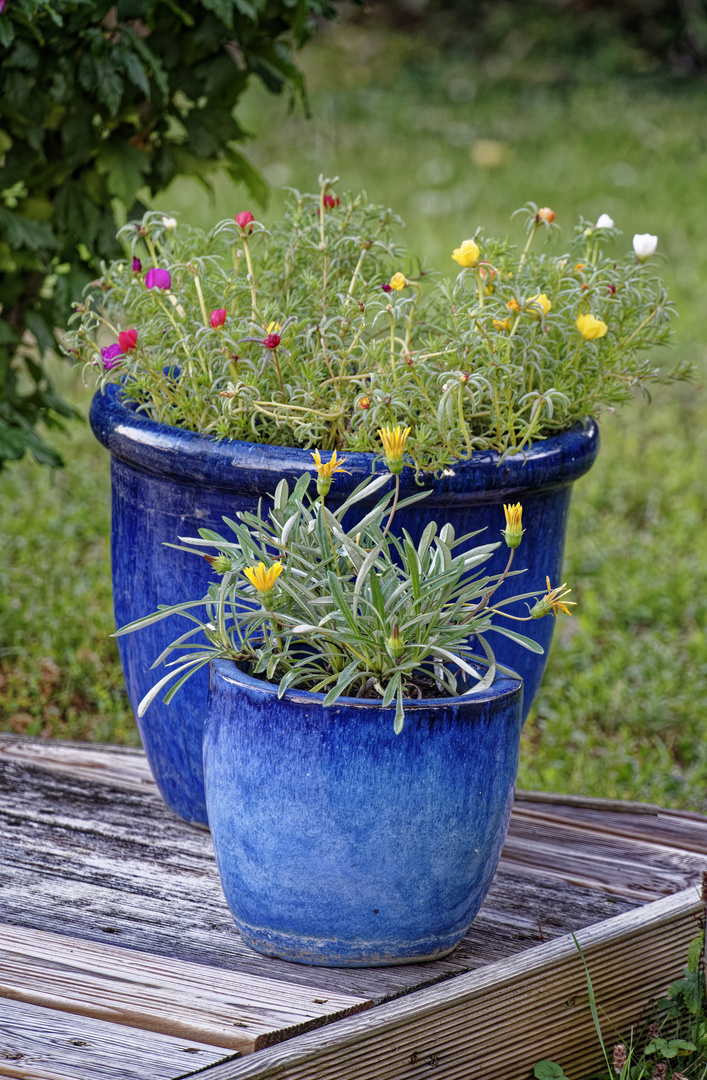 Pots de fleurs