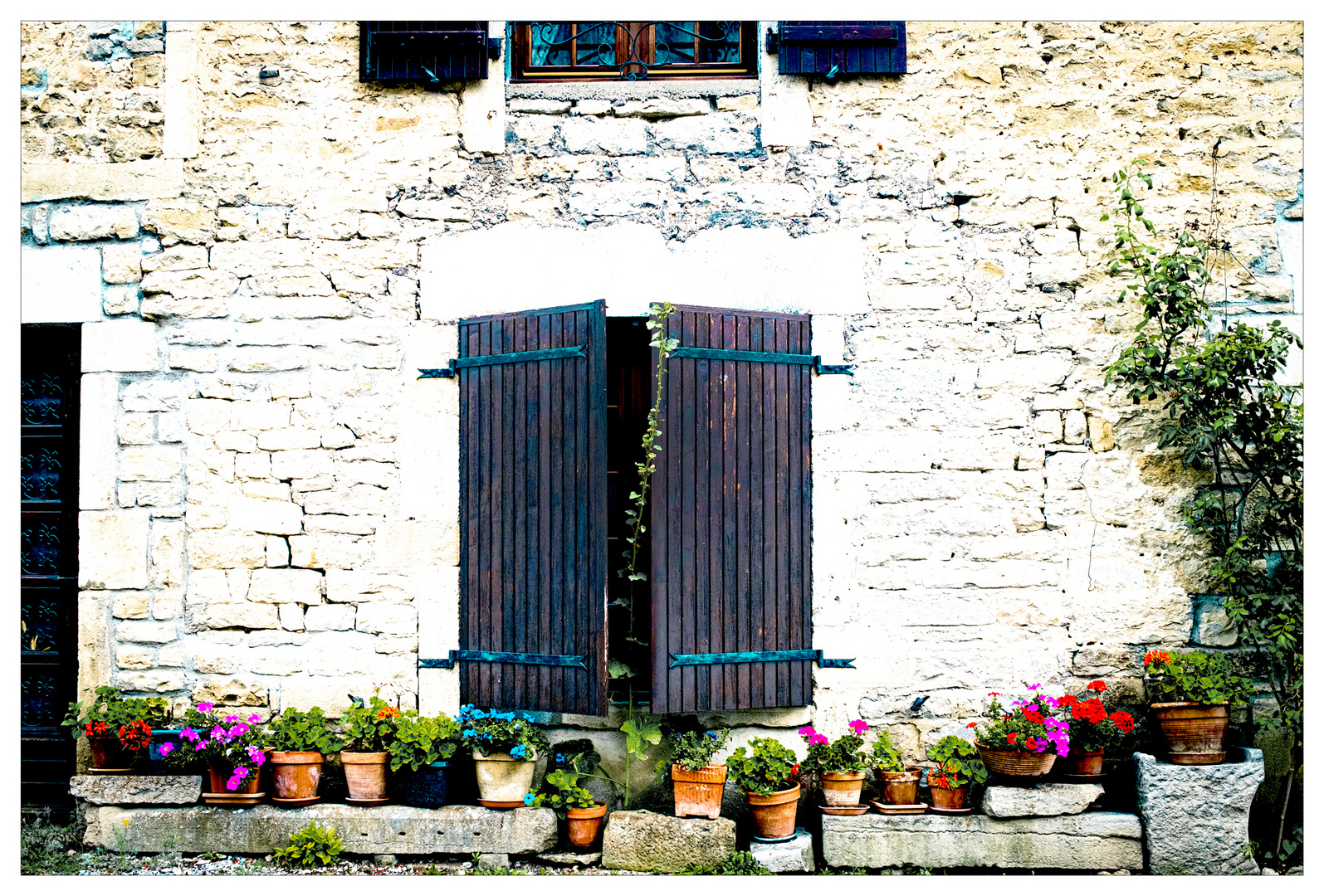 pots de fleurs.