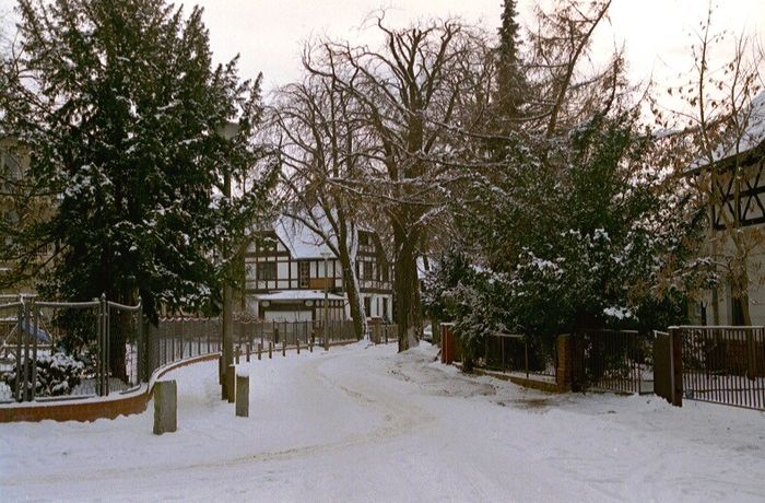 Potsdam-Babelsberg im Winter