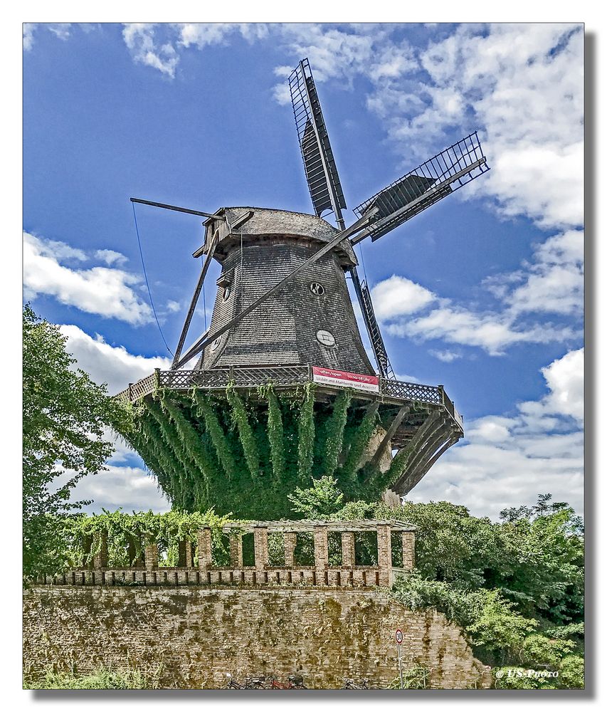 Potsdam - erste Bockwindmühle