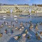 Potsdam - Herbst im Schlosspark Sanssouci -