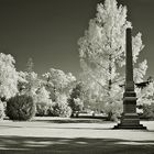 Potsdam im Neuen Garten, infrarot