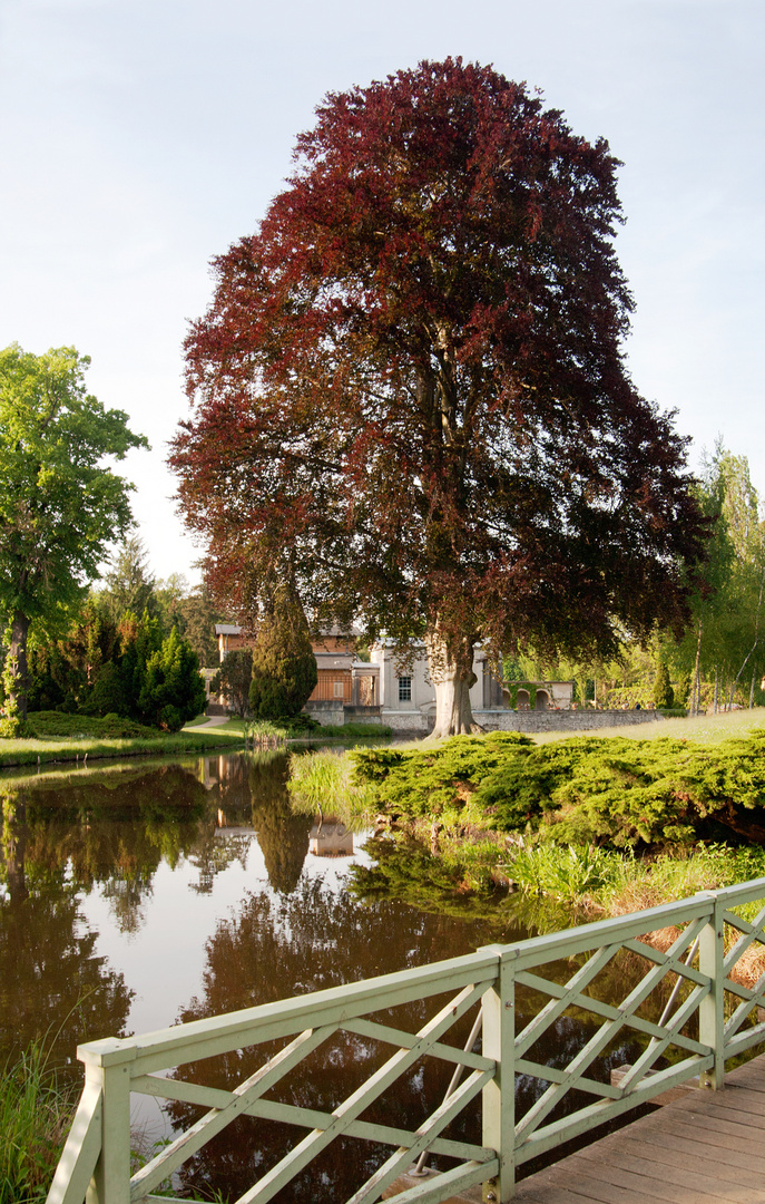 Potsdam-im Park Sanssouci